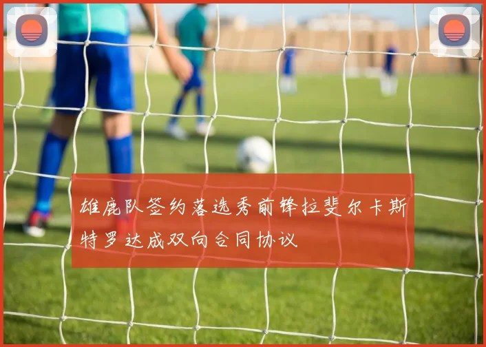 雄鹿队签约落选秀前锋拉斐尔卡斯特罗达成双向合同协议