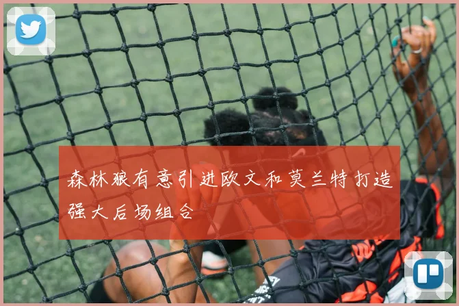 森林狼有意引进欧文和莫兰特打造强大后场组合